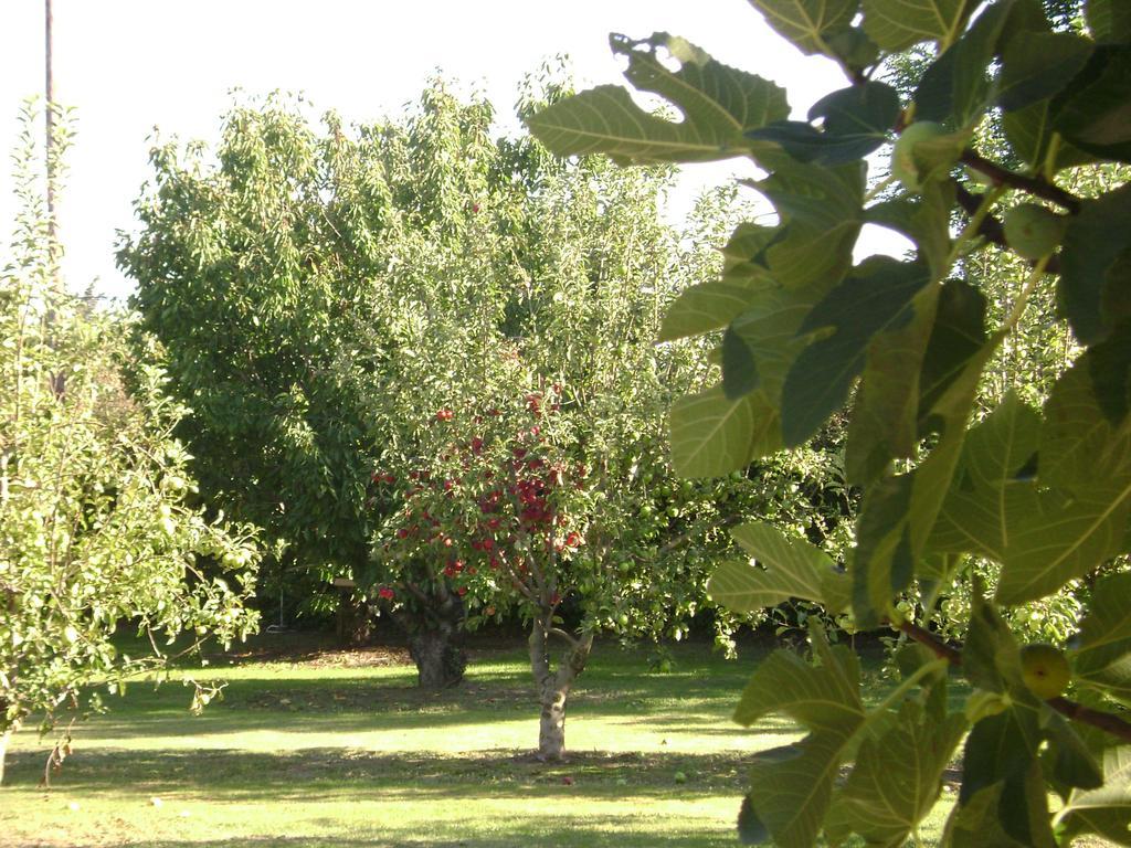 Gite La Gourmandine Saint-Andiol 외부 사진